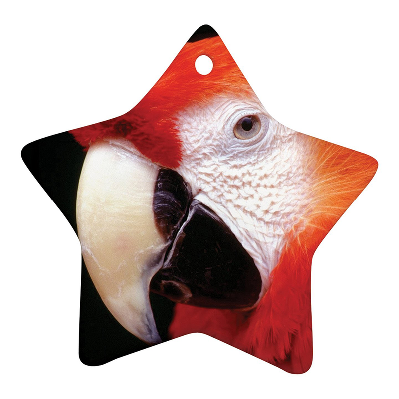 HPN SubliCraft 3" Star Sublimation Ceramic Ornament with Hole