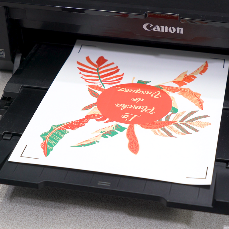 SISER EASY COLOR - DIRECT TO VINYL PRINTING WITH A INKJET PRINTER 