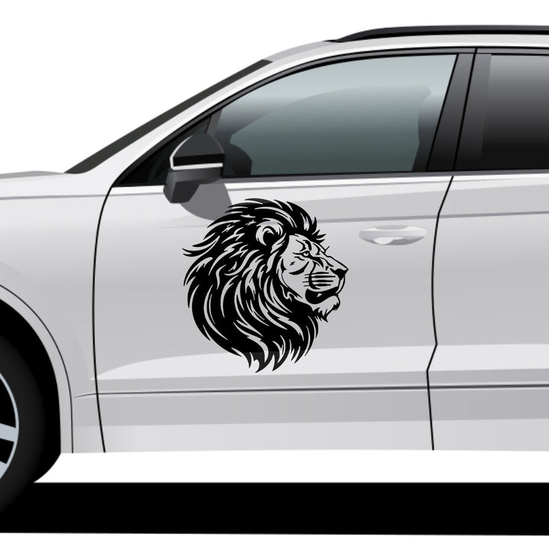 Detailed Lion Mane Vector