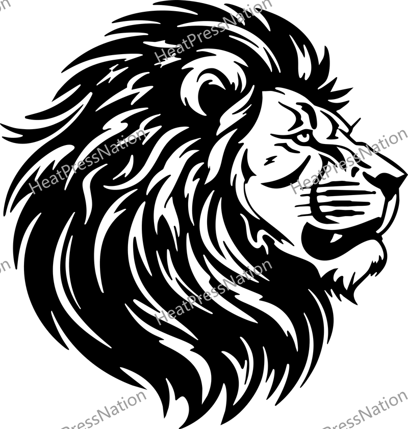 Detailed Lion Mane Vector