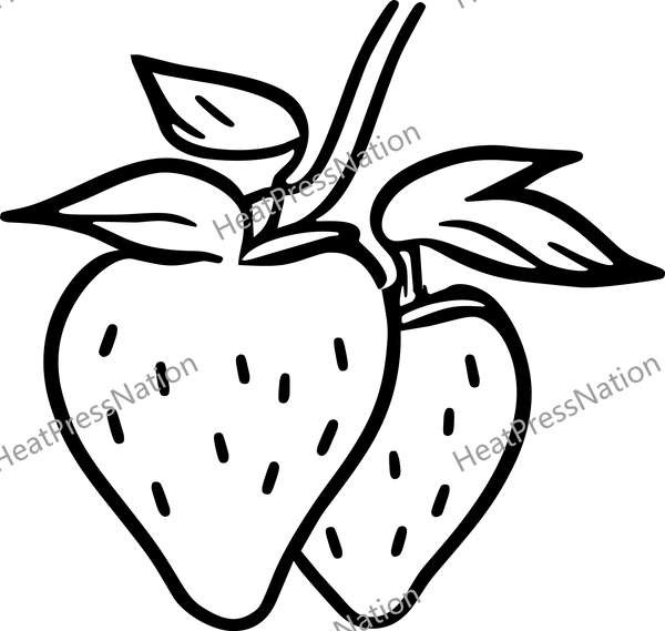 Strawberry Fruit Vector Design