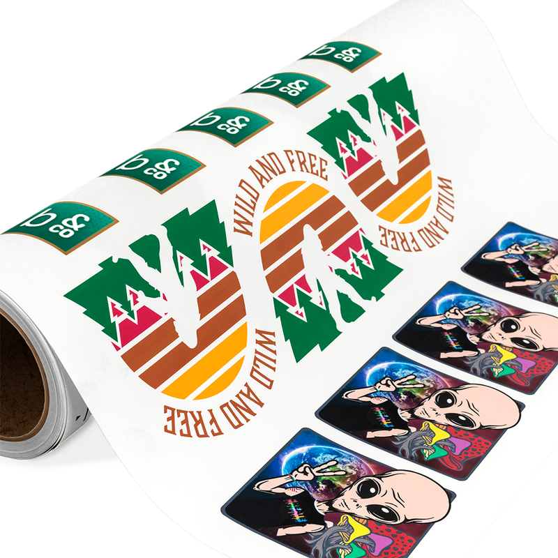 Siser EasyColor™ DTV™ Inkjet Printable Heat Transfer Vinyl Rolls